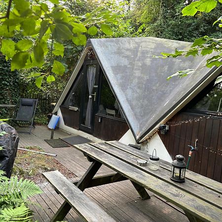 Chalet Scandinave Avec Sauna Ir - In The Woods Gesves Eksteriør billede