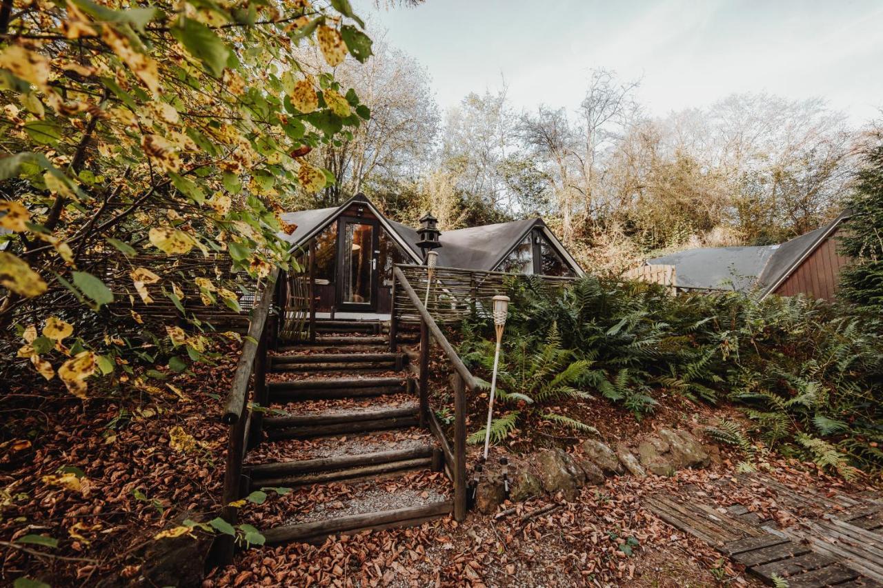 Chalet Scandinave Avec Sauna Ir - In The Woods Gesves Eksteriør billede