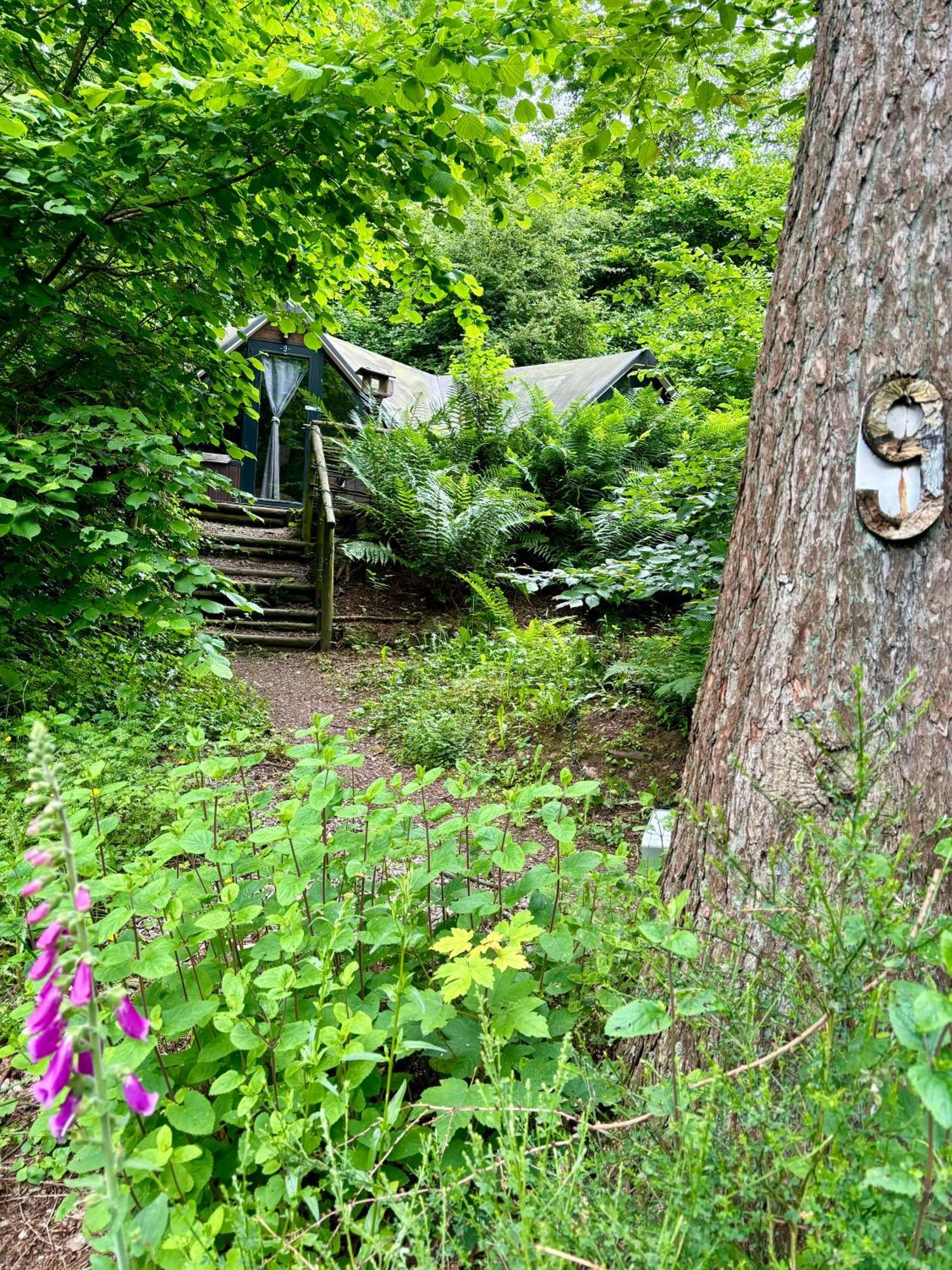 Chalet Scandinave Avec Sauna Ir - In The Woods Gesves Eksteriør billede
